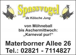 Spassvogel